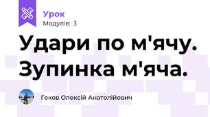 Удари по м'ячу. Зупинка м'яча.