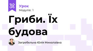 Гриби. Їх будова 