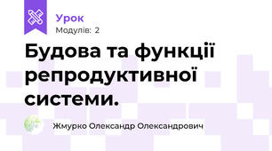Будова та функції репродуктивної системи. 