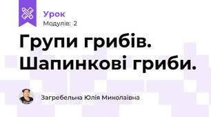 Групи грибів. Шапинкові гриби.
