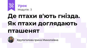 Де птахи в'ють гнізда. Як птахи доглядають пташенят