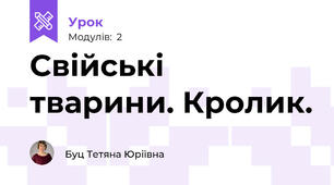 Свійські тварини. Кролик.