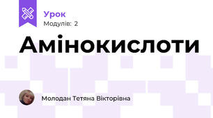 Амінокислоти