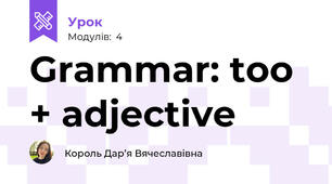  Grammar: too + adjective