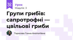 Групи грибів: сапротрофні — цвільові гриби