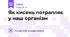 Як кисень потрапляє у наш організм