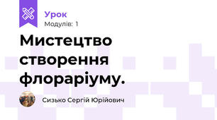Мистецтво створення флораріуму. 