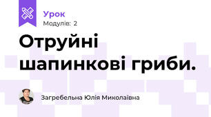 Отруйні шапинкові гриби.