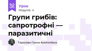Групи грибів: сапротрофні — паразитичні 