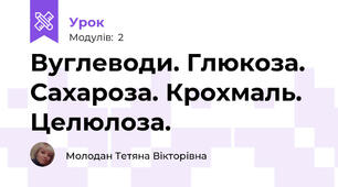 Вуглеводи. Глюкоза. Сахароза. Крохмаль. Целюлоза.
