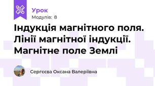 Індукція магнітного поля. Лінії магнітної індукції. Магнітне поле Землі
