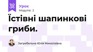 Їстівні шапинкові гриби.