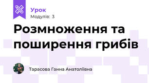 Розмноження та поширення грибів