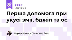 Перша допомога при укусі змії, бджіл та ос
