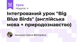 Інтегрований урок "Big Blue Birds" (англійська мова + природознавство)