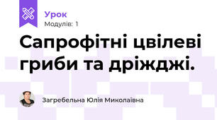 Сапрофітні цвілеві гриби та дріжджі. 