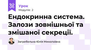 Ендокринна система. Залози зовнішньої та змішаної секреції.