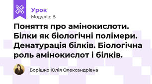 Поняття про амінокислоти. Білки як біологічні полімери. Денатурація білків. Біологічна роль амінокислот і білків.