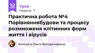 Практична робота №4 Порівняннябудови та процесу розмноженя клітинних форм життя і вірусів