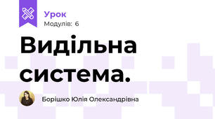 Видільна система.