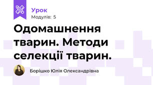 Одомашнення тварин. Методи селекції тварин. 