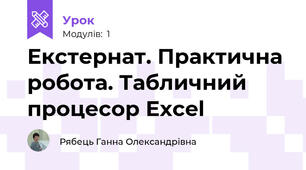 Екстернат. Практична робота. Табличний процесор Excel