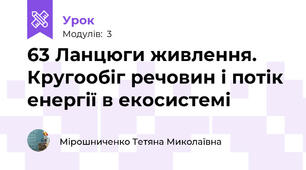 63 Ланцюги живлення. Кругообіг речовин і потік енергії в екосистемі