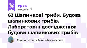 63 Шапинкові гриби. Будова шапинкових грибів. Лабораторні дослідження: будови шапинкових грибів