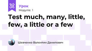 Test much, many, little, few, a little or a few