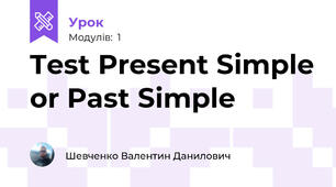 Test Present Simple or Past Simple