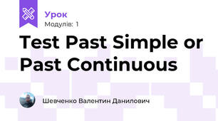 Test Past Simple or Past Continuous