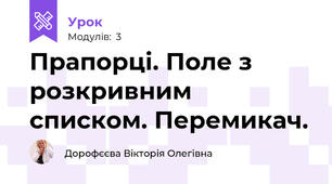 Прапорці. Поле з розкривним списком. Перемикач.