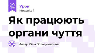 Як працюють органи чуття