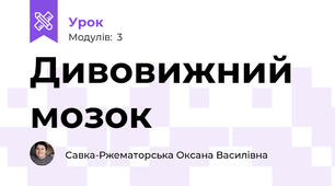 Дивовижний мозок 
