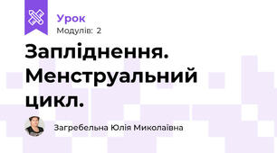 Запліднення. Менструальний цикл.
