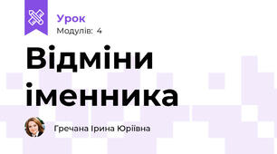Відміни іменника
