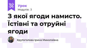З якої ягоди намисто. Їстівні та отруйні ягоди