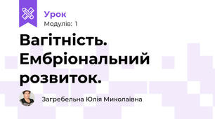 Вагітність. Ембріональний розвиток.