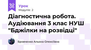 Діагностична робота. Аудіювання 3 клас НУШ "Бджілки на розвідці"