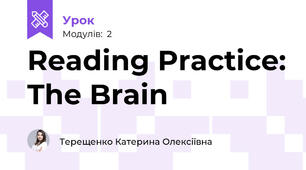 Reading Practice: The Brain
