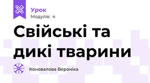 Свійські та дикі тварини 