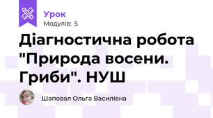 Діагностична робота "Природа восени. Гриби". НУШ