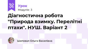 Діагностична робота "Природа взимку. Перелітні птахи". НУШ. Варіант 2
