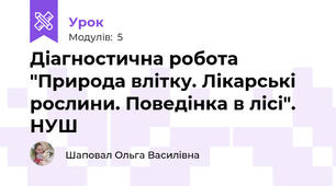 Діагностична робота "Природа влітку. Лікарські рослини. Поведінка в лісі". НУШ