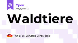 Waldtiere