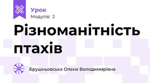 Різноманітність птахів