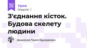 З'єднання кісток. Будова скелету людини