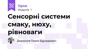 Сенсорні системи смаку, нюху, рівноваги