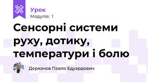 Сенсорні системи руху, дотику, температури і болю