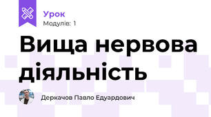 Вища нервова діяльність
